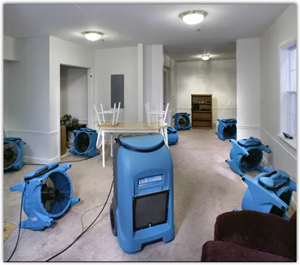 Water Damage Assessment in Devils Lake, ND