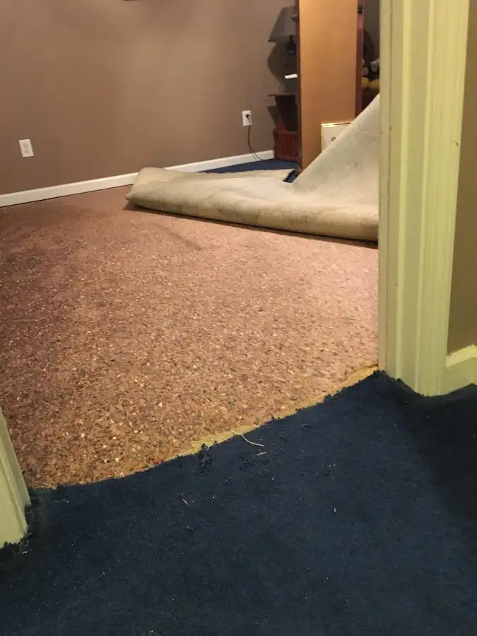 Carpet pad removal revealing water damage during Drying & Dehumidification in Devils Lake