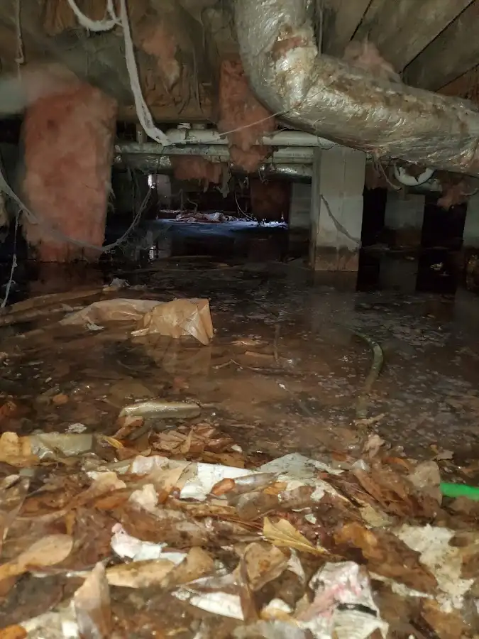 Crawl space flood assessment for Leak Detection & Repair in Devils Lake